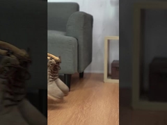 รองเท้ากีฬาชาย รองเท้ากันคลื่น และรองเท้ากันสวม